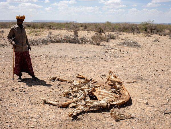 Climate Change and Environmental Sustainability