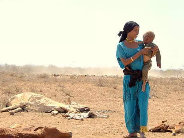 Child Protection and Education